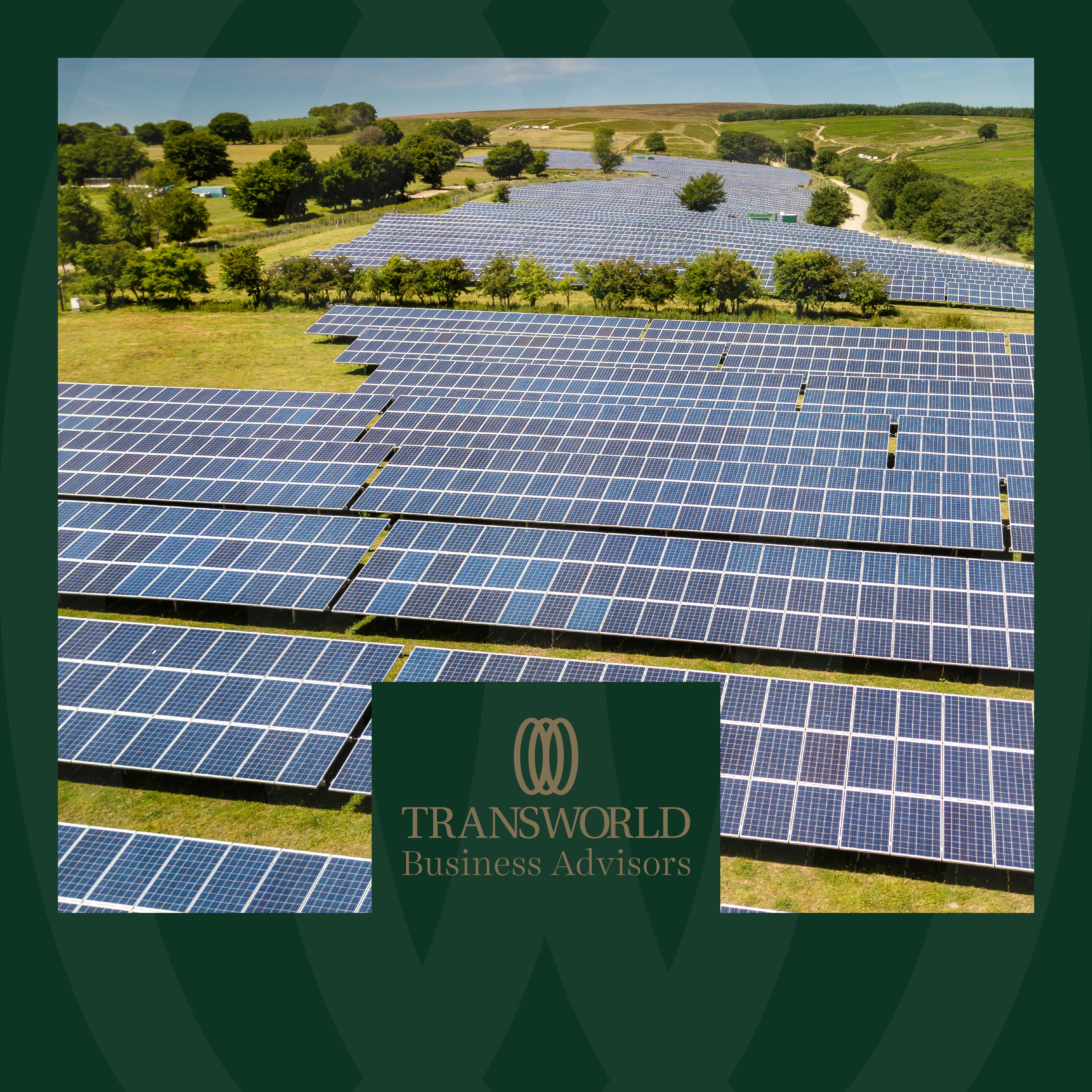 Eco-friendly roofing and wall solutions