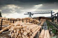 UK Sawmill Manufacturing Softwood Products and co-products