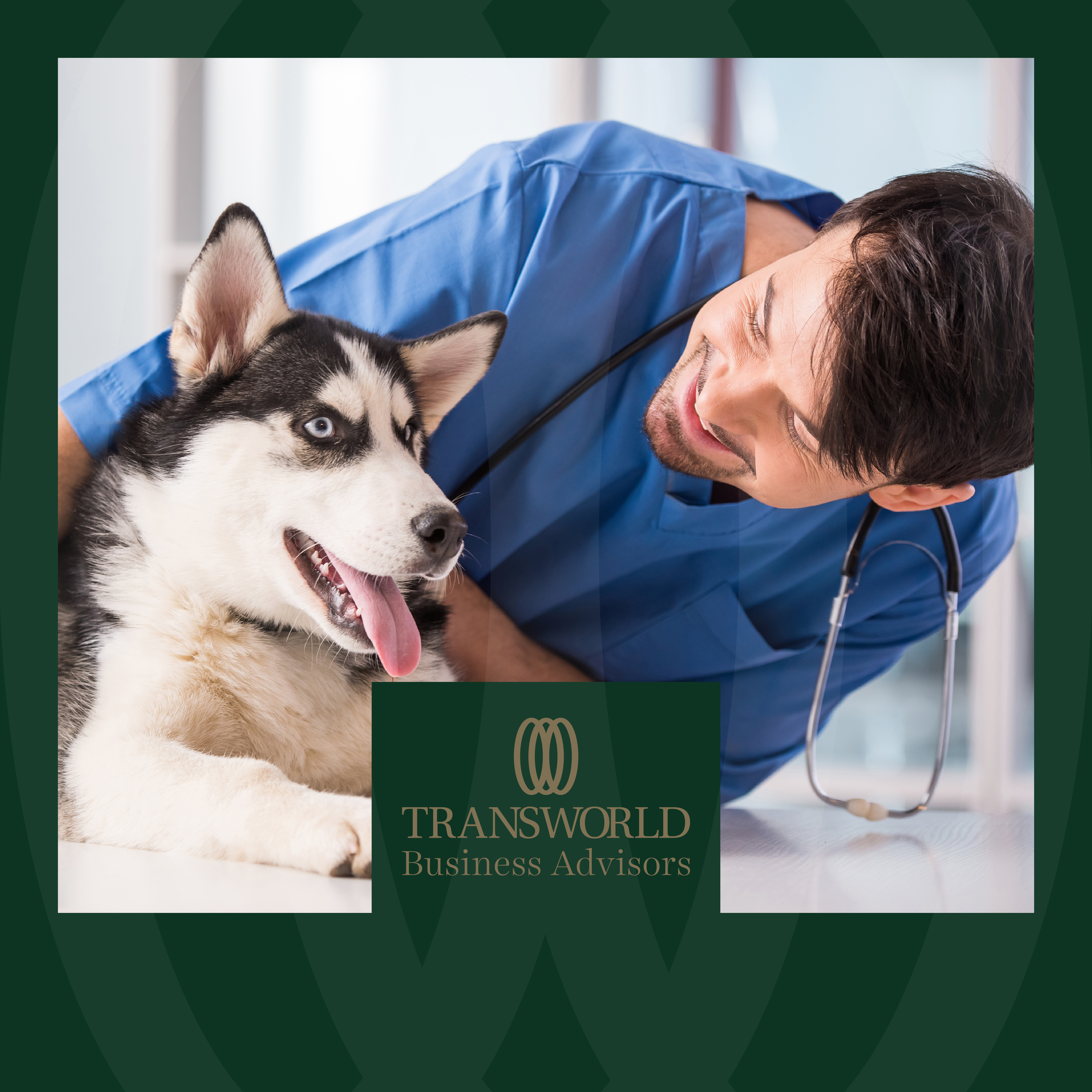 Independent Veterinary Practice offering Compassionate, Expert Care